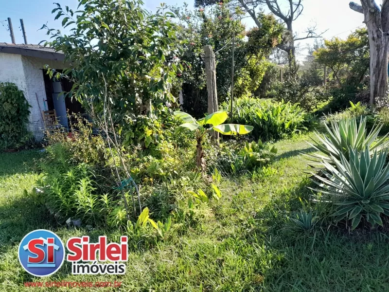 Balneário Pinhal